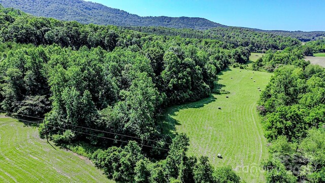 0 Cane Creek Rd, Rutherfordton, NC 28139 - photo 4