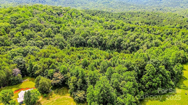 0 Cane Creek Rd, Rutherfordton, NC 28139 - photo 25