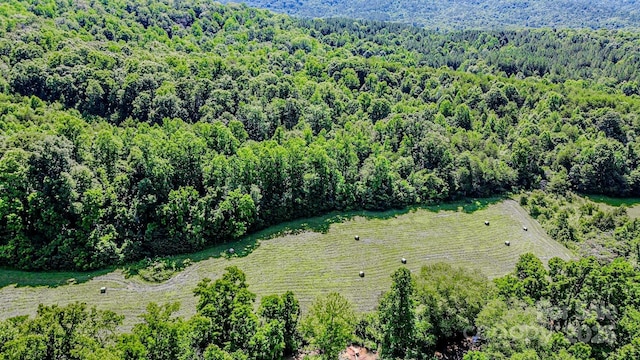 0 Cane Creek Rd, Rutherfordton, NC 28139 - photo 9