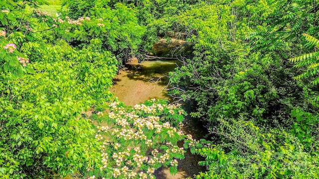 0 Cane Creek Rd, Rutherfordton, NC 28139 - photo 11