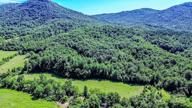 0 Cane Creek Rd, Rutherfordton, NC 28139 - photo 12