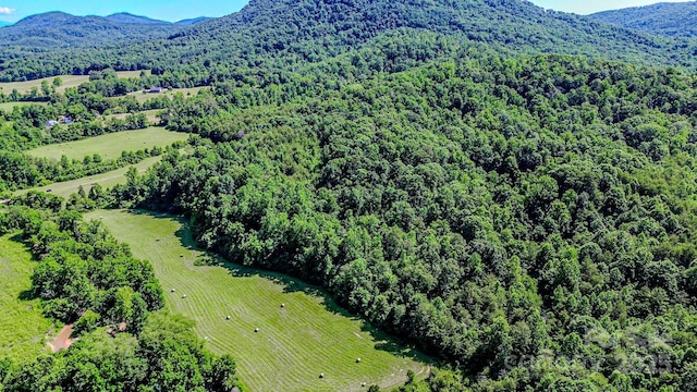 0 Cane Creek Rd, Rutherfordton, NC 28139 - photo 14