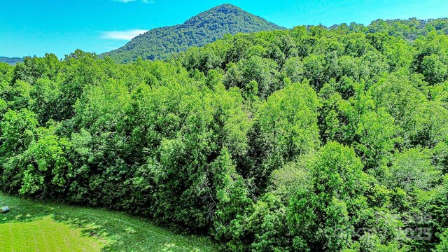 0 Cane Creek Rd, Rutherfordton, NC 28139 - photo 16