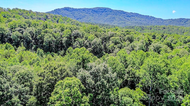 0 Cane Creek Rd, Rutherfordton, NC 28139 - photo 17