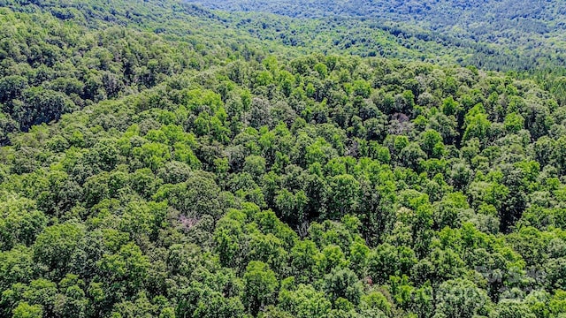 0 Cane Creek Rd, Rutherfordton, NC 28139 - photo 18
