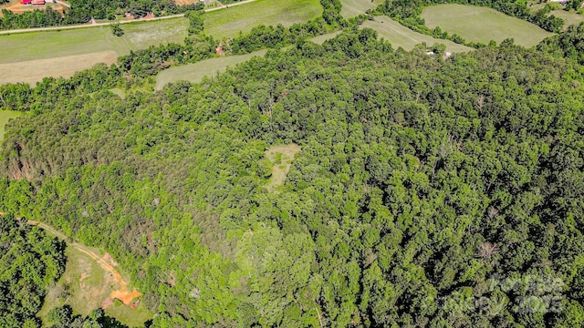 0 Cane Creek Rd, Rutherfordton, NC 28139 - photo 19