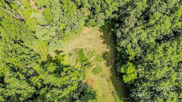 0 Cane Creek Rd, Rutherfordton, NC 28139 - photo 23