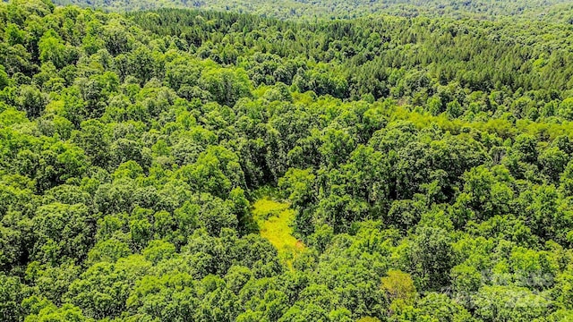 0 Cane Creek Rd, Rutherfordton, NC 28139 - photo 24