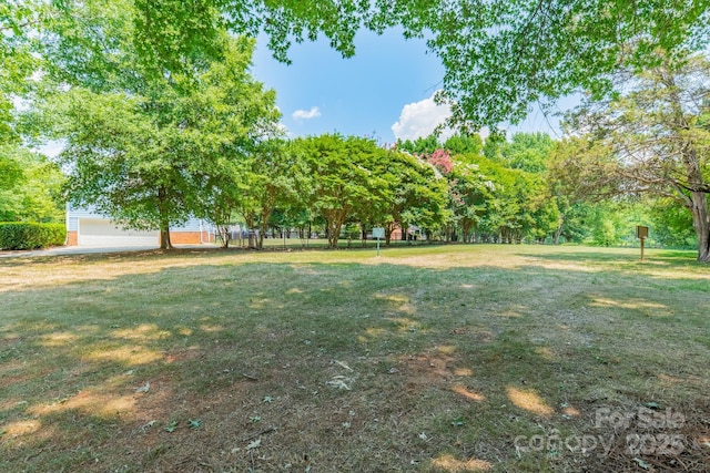6412 Boykin Spaniel Rd, Charlotte, NC 28277 - view of green lawn