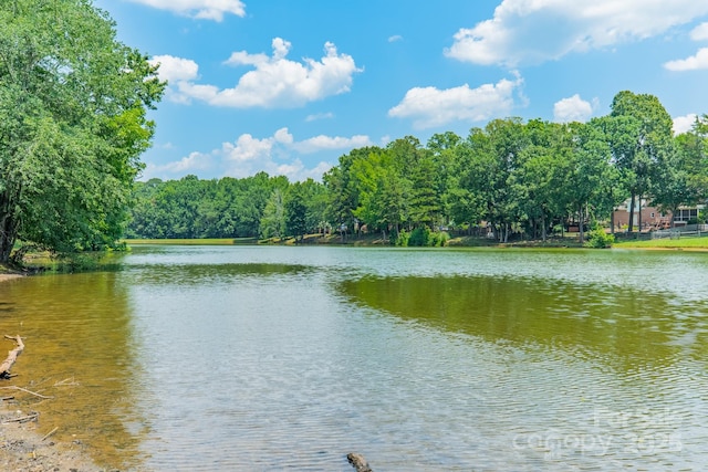 6412 Boykin Spaniel Rd, Charlotte, NC 28277 - water view
