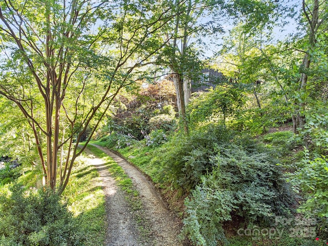 465 Youngs Gap Rd, Fletcher, NC 28732 - view of road