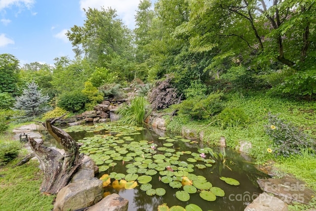 465 Youngs Gap Rd, Fletcher, NC 28732 - view of local wilderness featuring a small pond