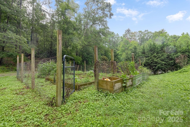 465 Youngs Gap Rd, Fletcher, NC 28732 - view of yard featuring a vegetable garden and a view of trees
