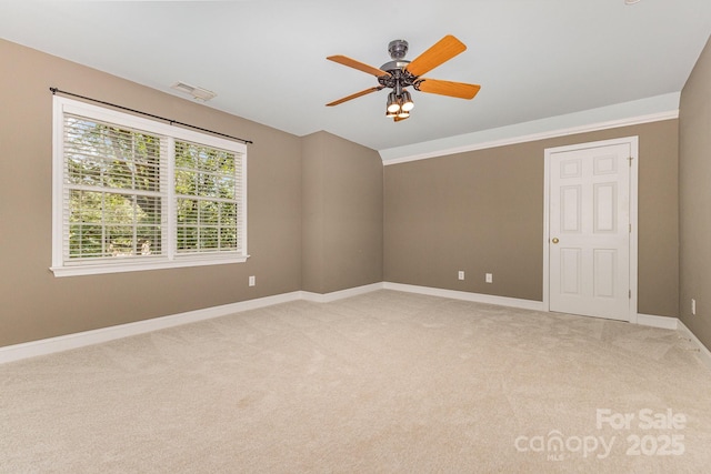 5205 Tedorill Ln, Charlotte, NC 28226 - photo 24