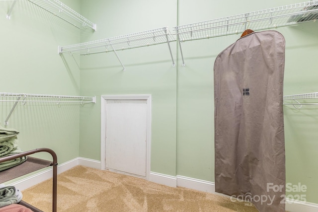 5205 Tedorill Ln, Charlotte, NC 28226 - photo 26