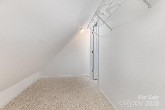 5205 Tedorill Ln, Charlotte, NC 28226 - photo 34
