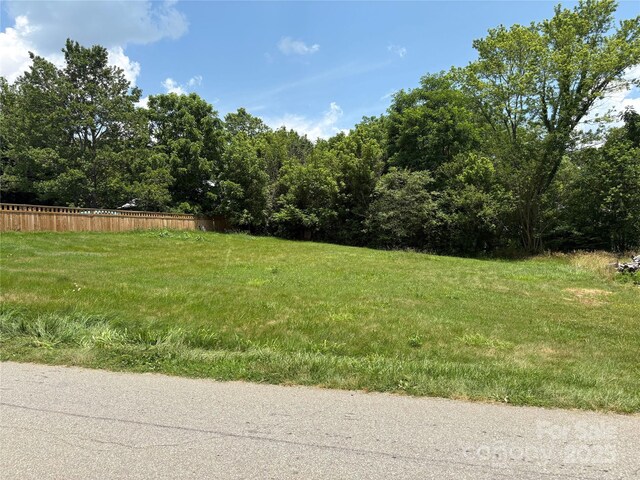 00 Painter St Unit 2 & 3, Canton, NC 28716 - photo 7