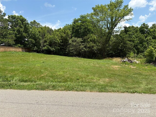 00 Painter St Unit 2 & 3, Canton, NC 28716 - photo 8