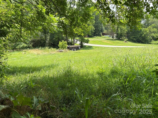 00 Painter St Unit 2 & 3, Canton, NC 28716 - photo 19