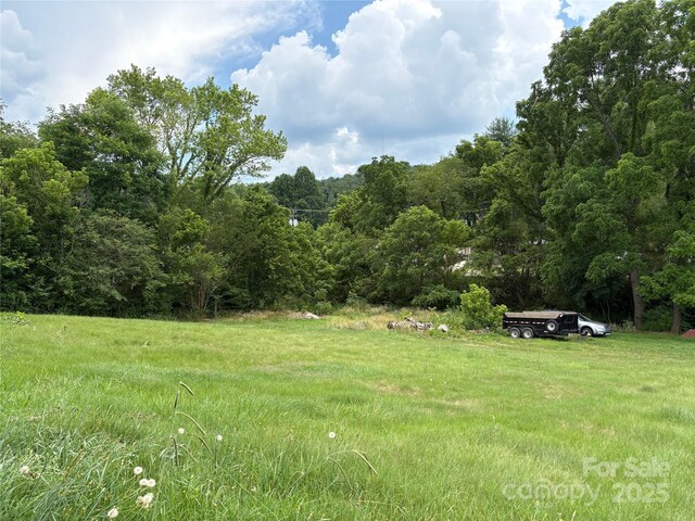 00 Painter St Unit 2 & 3, Canton, NC 28716 - photo 24