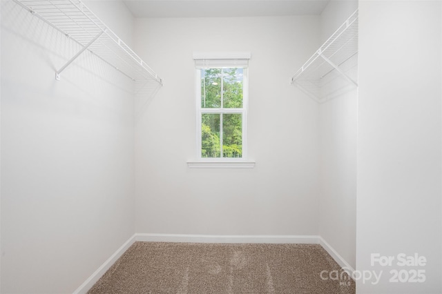 1209 Cathey Rd, Charlotte, NC 28214 - walk in closet with carpet floors