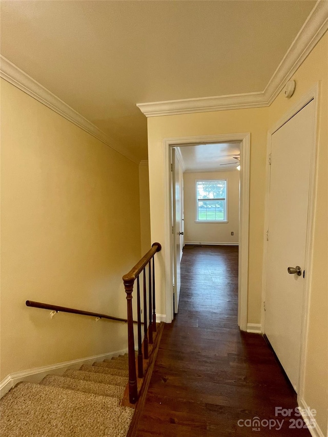 250 Nixon Rd Unit 41, Belmont, NC 28012 - photo 23