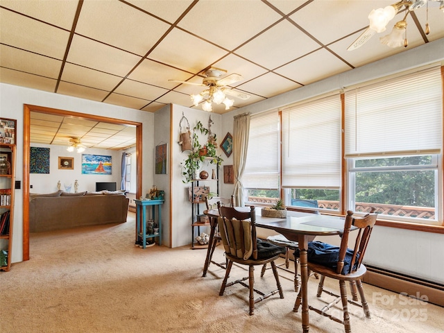50 Kaesler Ln, Burnsville, NC 28714 - photo 16