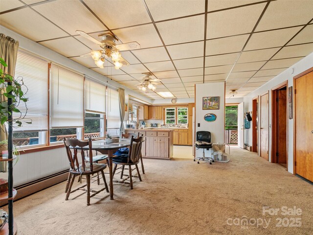 50 Kaesler Ln, Burnsville, NC 28714 - photo 17