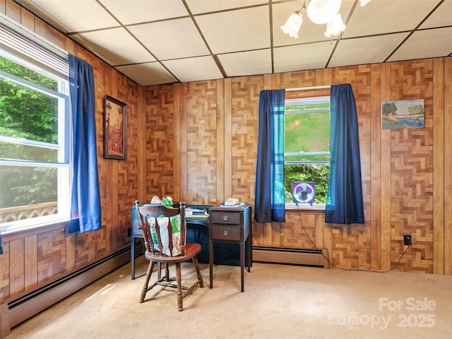 50 Kaesler Ln, Burnsville, NC 28714 - photo 27