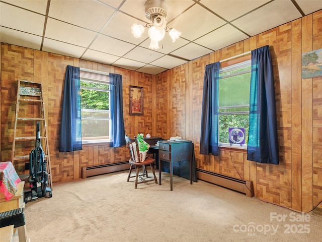 50 Kaesler Ln, Burnsville, NC 28714 - photo 29