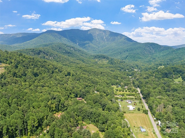 50 Kaesler Ln, Burnsville, NC 28714 - photo 40