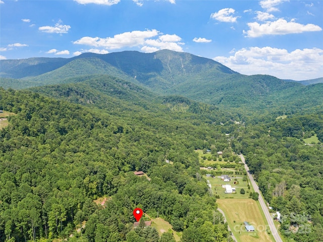 50 Kaesler Ln, Burnsville, NC 28714 - photo 41