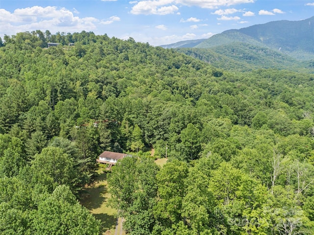 50 Kaesler Ln, Burnsville, NC 28714 - photo 47