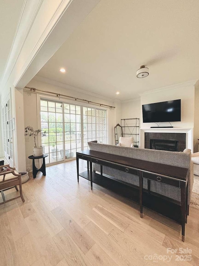 3011 Ella Katherine Way, Charlotte, NC 28210 - living room featuring crown molding, light wood-style flooring, a fireplace, and recessed lighting