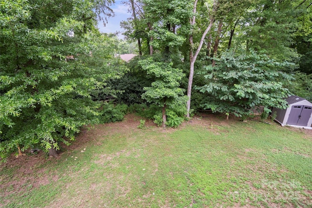 9605 Mountain Ivy Ct, Charlotte, NC 28210 - photo 38