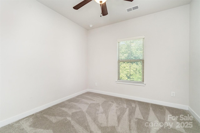 4436 Carteret St, Charlotte, NC 28205 - photo 21
