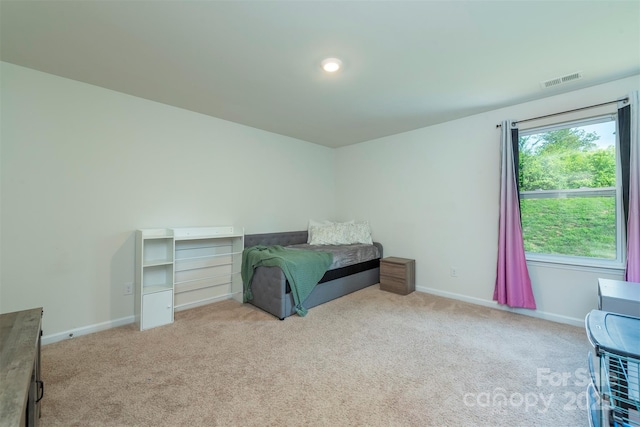 189 Monroe Creek Blvd, Asheville, NC 28806 - photo 17