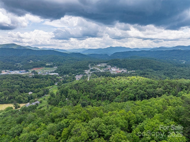 00 Nannys Ln, Sylva, NC 28779