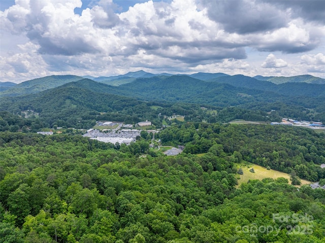 00 Nannys Ln, Sylva, NC 28779