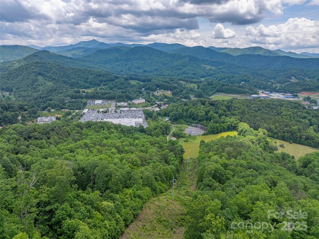 00 Nannys Ln, Sylva, NC 28779