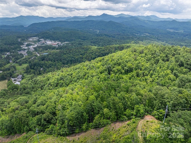 00 Nannys Ln, Sylva, NC 28779