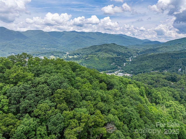 00 Nannys Ln, Sylva, NC 28779
