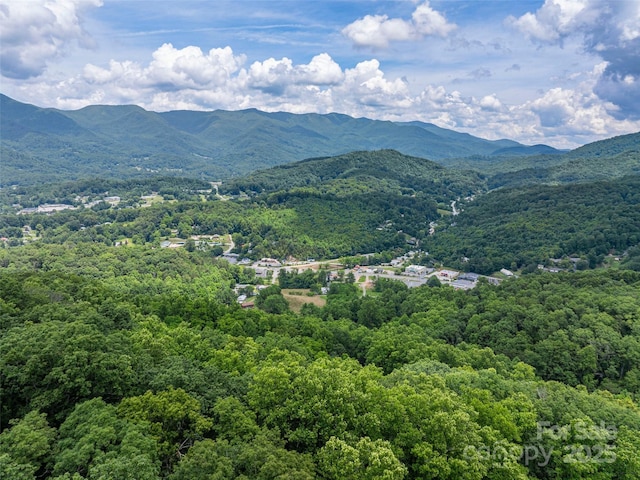 00 Nannys Ln, Sylva, NC 28779