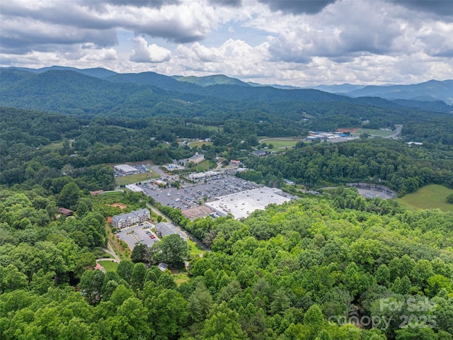 00 Nannys Ln, Sylva, NC 28779