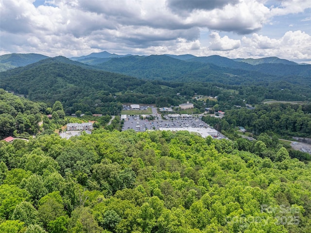 00 Nannys Ln, Sylva, NC 28779