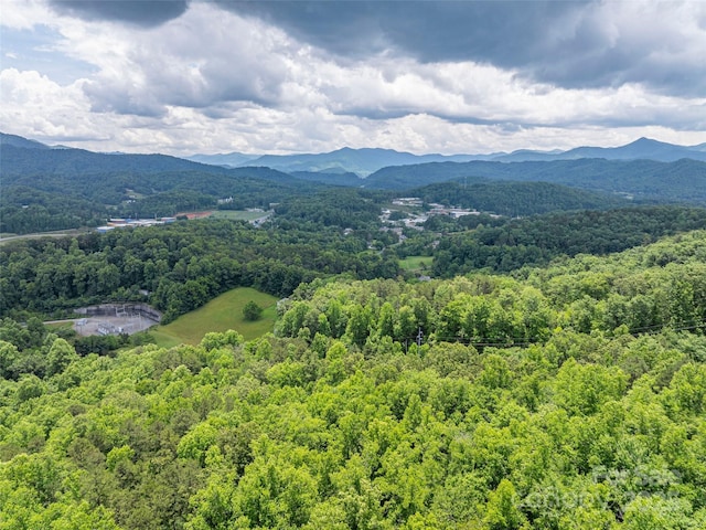 00 Nannys Ln, Sylva, NC 28779