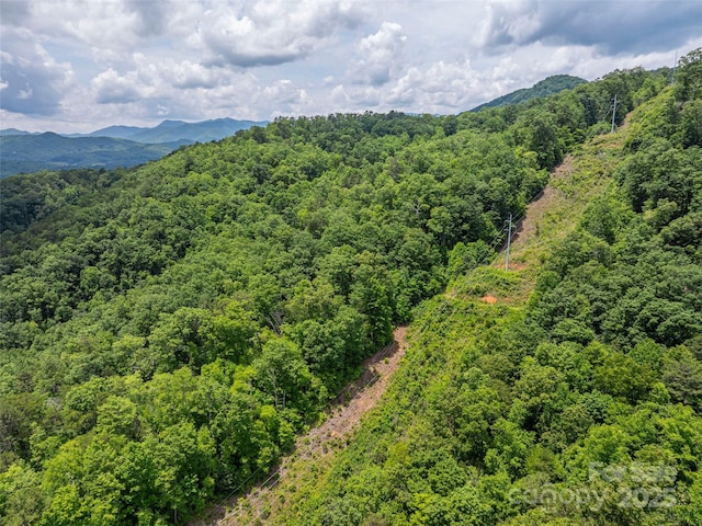 00 Nannys Ln, Sylva, NC 28779