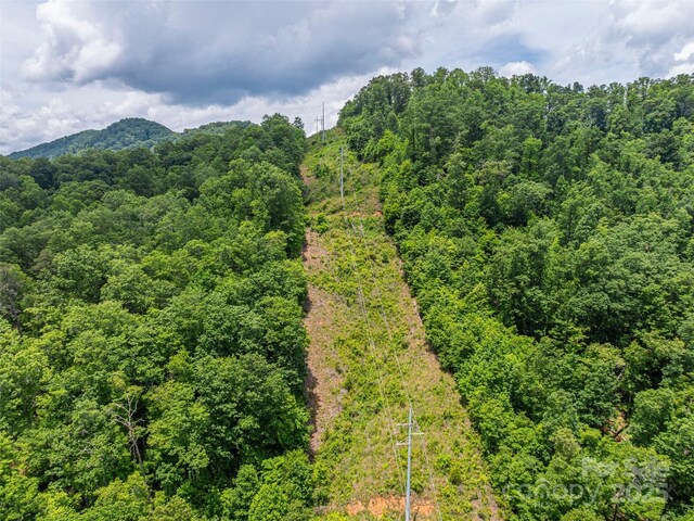 00 Nannys Ln, Sylva, NC 28779