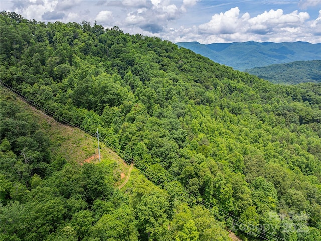 00 Nannys Ln, Sylva, NC 28779
