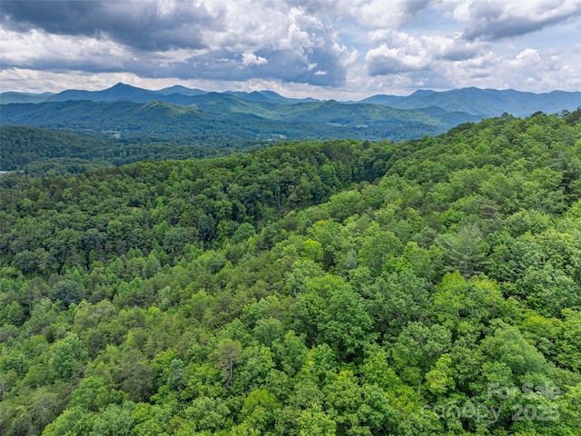 00 Nannys Ln, Sylva, NC 28779